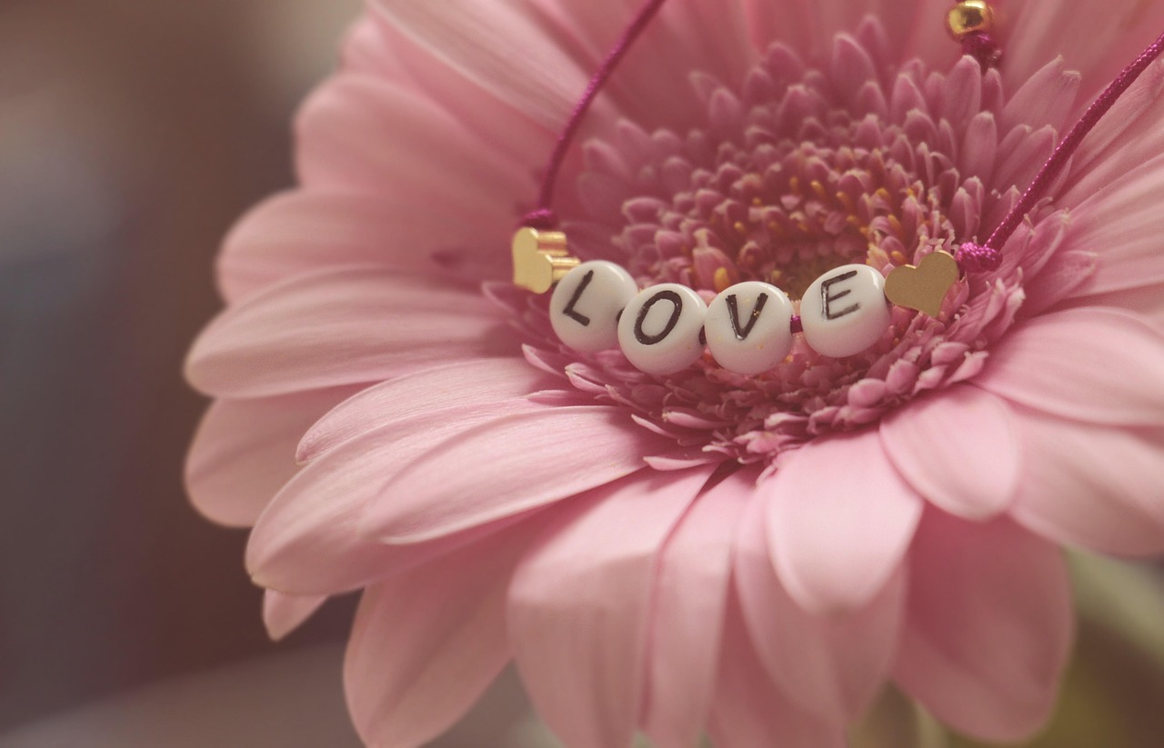 Have You Ever Felt Lonely on Valentine’s Day?